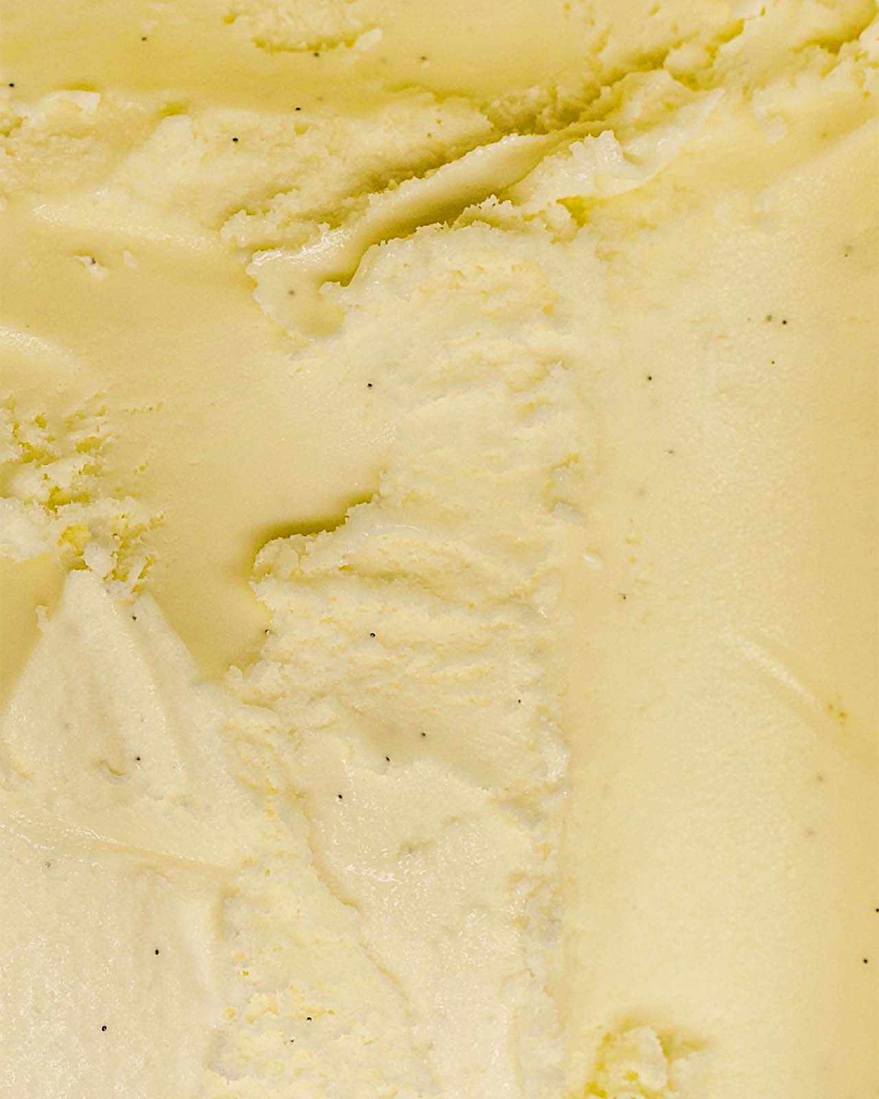 Vanilla Bean Ice Cream | Homemade Ice Creamery | Apiary Singapore