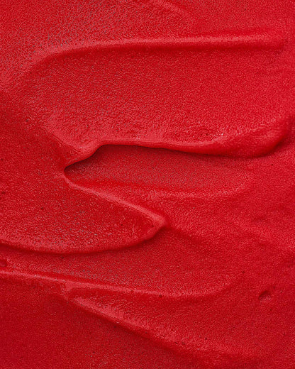 Raspberry Sorbet Ice Cream | Homemade Ice Creamery | Apiary Singapore